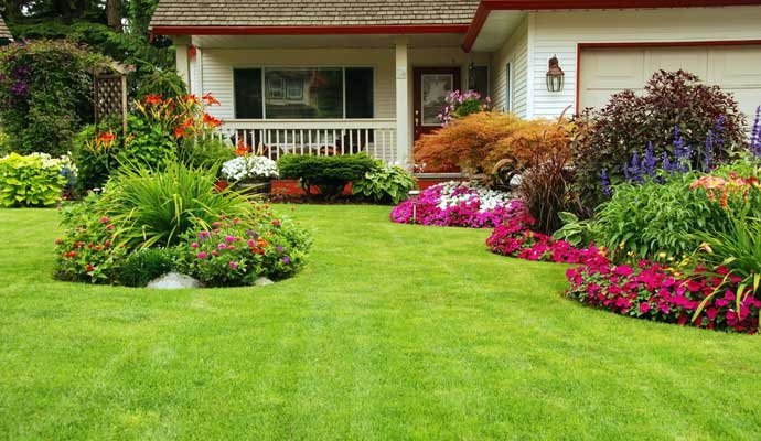 Landscaping & Gardening